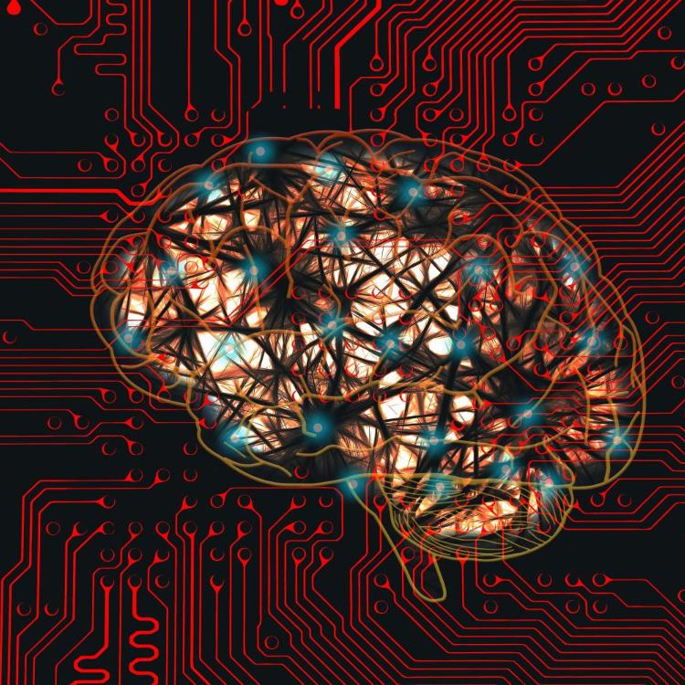 network-9210512_by_geralt_pixabay_pbs